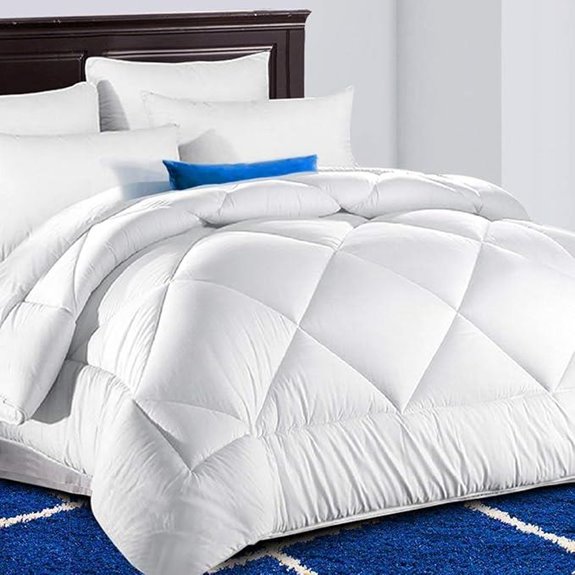 TEKAMON All-Season Queen Comforter with Corner Tabs