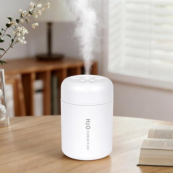 Portable Mini USB Humidifier with Colorful Lights