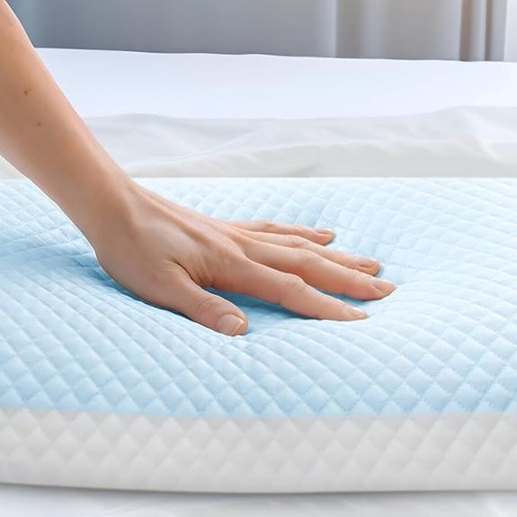 LETOM Cooling Gel Memory Foam Pillow (16x24)