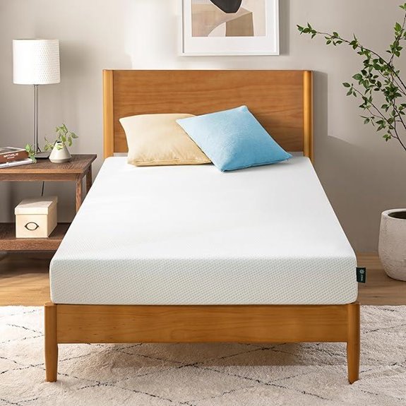 Zinus 5 Twin Green Tea Memory Foam Mattress