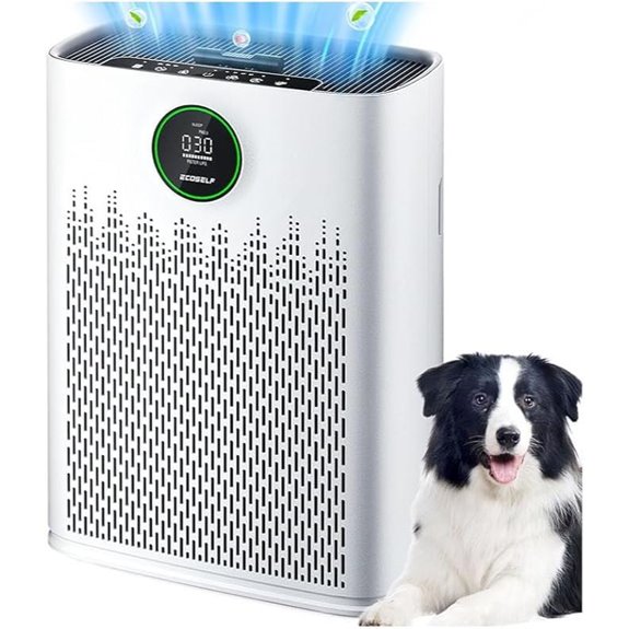 Large Room Air Purifier with HEPA & Aromatherapy
