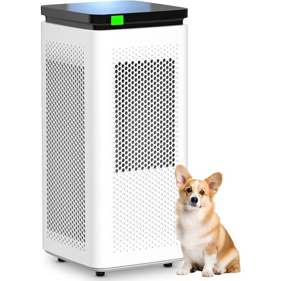Large Room Air Purifier with HEPA Filter and Carbon