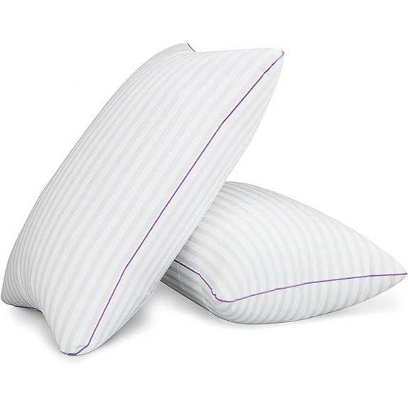 King Size Microfiber Bed Pillows Set of 2