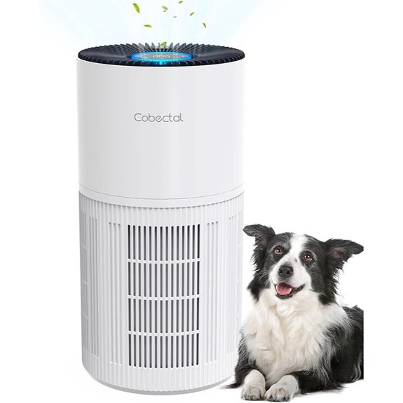 Cobectal Large Room Air Purifier with HEPA Filter