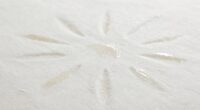 mattress sweat ring causes