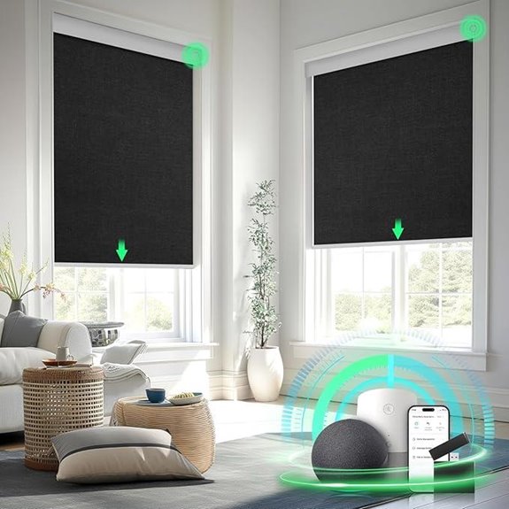Smart Motorized Blackout Blinds with Remote Control