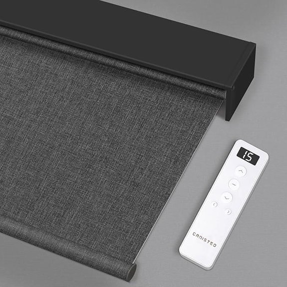 Motorized Smart Roller Blinds with Remote and Alexa Compatibility