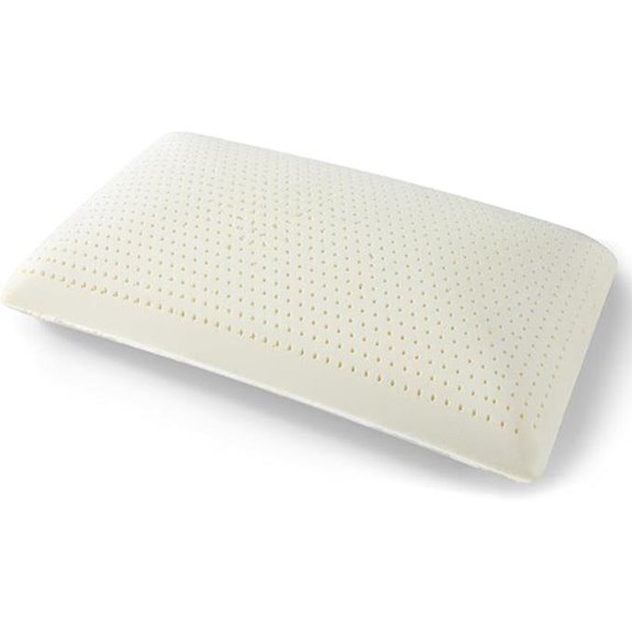 Talalay 100% Natural Latex Pillow with Cover