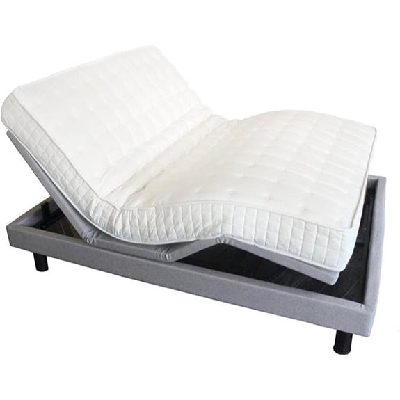 Natural Life Palmpring Bally Wave Mattress (California King)