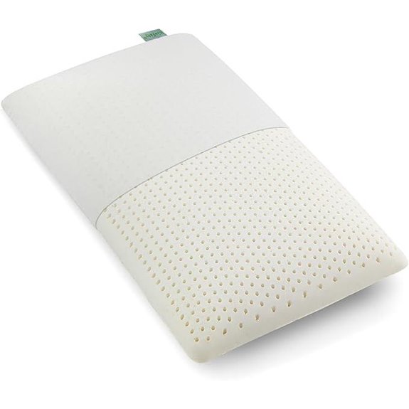 Queen Size Talalay Latex Pillow with Removable Cover