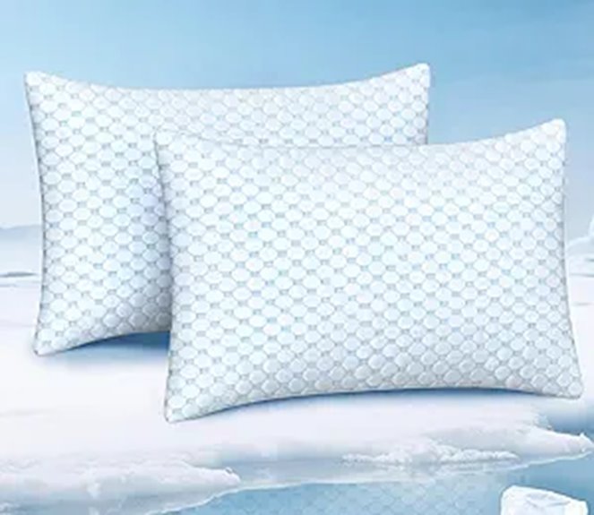 Cooling Memory Foam Pillows Set of 2