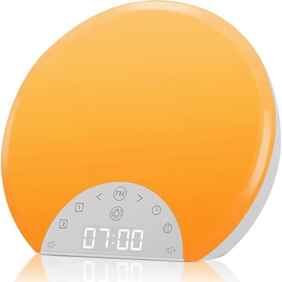 ANTDALIS Sunrise Alarm Clock with Night Light and FM Radio