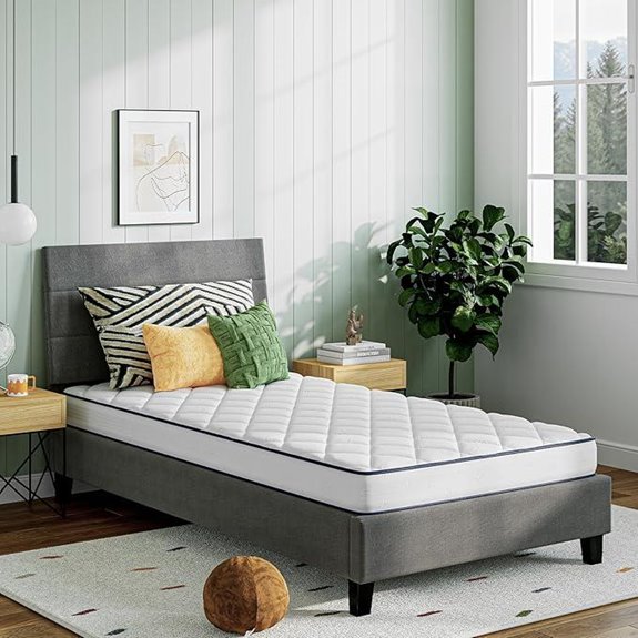 Novilla Twin Foam and Spring Mattress