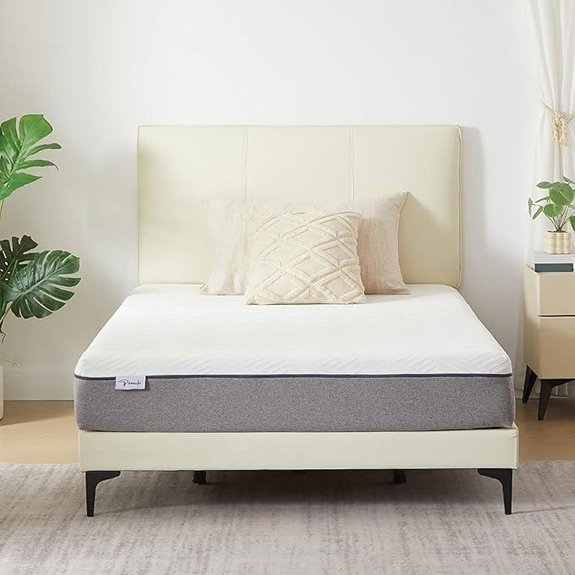 Twin Memory Foam Mattress in a Box