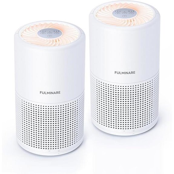 FULMINARE True HEPA Air Purifiers (2 Pack)