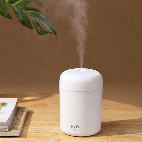 Colorful Portable Mini Humidifier with USB Power
