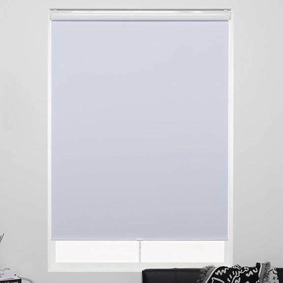 Cordless Blackout Roller Shades for Windows and Doors