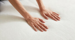 10 Best California King Organic Latex Mattress in 2026