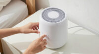 10 Best Quiet Bedroom Humidifiers in 2026