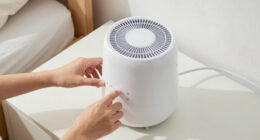 10 Best Quiet Bedroom Humidifiers in 2026
