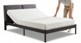 11 Best Split King Adjustable Bed Base in 2026