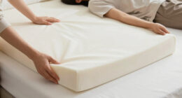 12 Best Best Queen Latex Mattress Topper in 2026