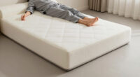 12 Best Queen Memory Foam Mattress for Couples in 2026