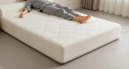 12 Best Queen Memory Foam Mattress for Couples in 2026