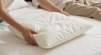 13 Best Best Queen Pillow Top Mattress Topper in 2026