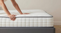 13 Best Low Profile Box Spring in 2026
