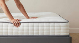 13 Best Low Profile Box Spring in 2026