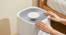 14 Best Bedroom Air Purifier for Dust in 2026