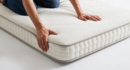 14 Best California King Fiberglass Free Mattress in 2026