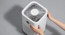 5 Best HEPA Bedroom Air Purifiers in 2026