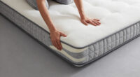 7 Best Queen Mattress for Motion Isolation in 2026
