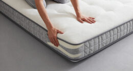 7 Best Queen Mattress for Motion Isolation in 2026