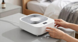 8 Best Bedroom Air Purifier For Smoke In 2026