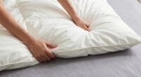 9 Best Down Comforters in 2026 — Ultimate Guide for Cozy Sleep