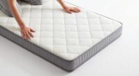 9 Best Queen Mattress In A Box in 2026