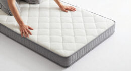 9 Best Queen Mattress In A Box in 2026