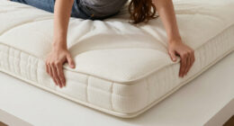 9 Best Queen Organic Latex Mattress in 2026