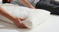 9 Best Queen Pillow Top Mattress in 2026