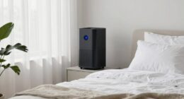 air purifiers improve allergies