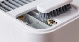 humidifier cleaning importance