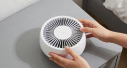 11 Best Bedroom Air Purifier for Mold Spores in 2026