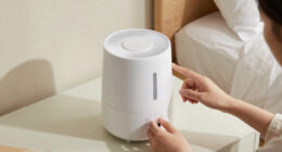 11 Best Smart Humidifier for Master Bedroom in 2026
