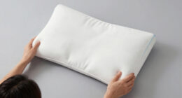 14 Best Pillow for Back Sleepers with Neck Pain in 2026