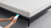5 Best Split King Adjustable Bed Base With App Control in 2026