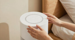 7 Best Smart Tower Fans for Bedroom in 2026