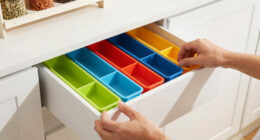 10 Best Cabinet Organizers in 2026